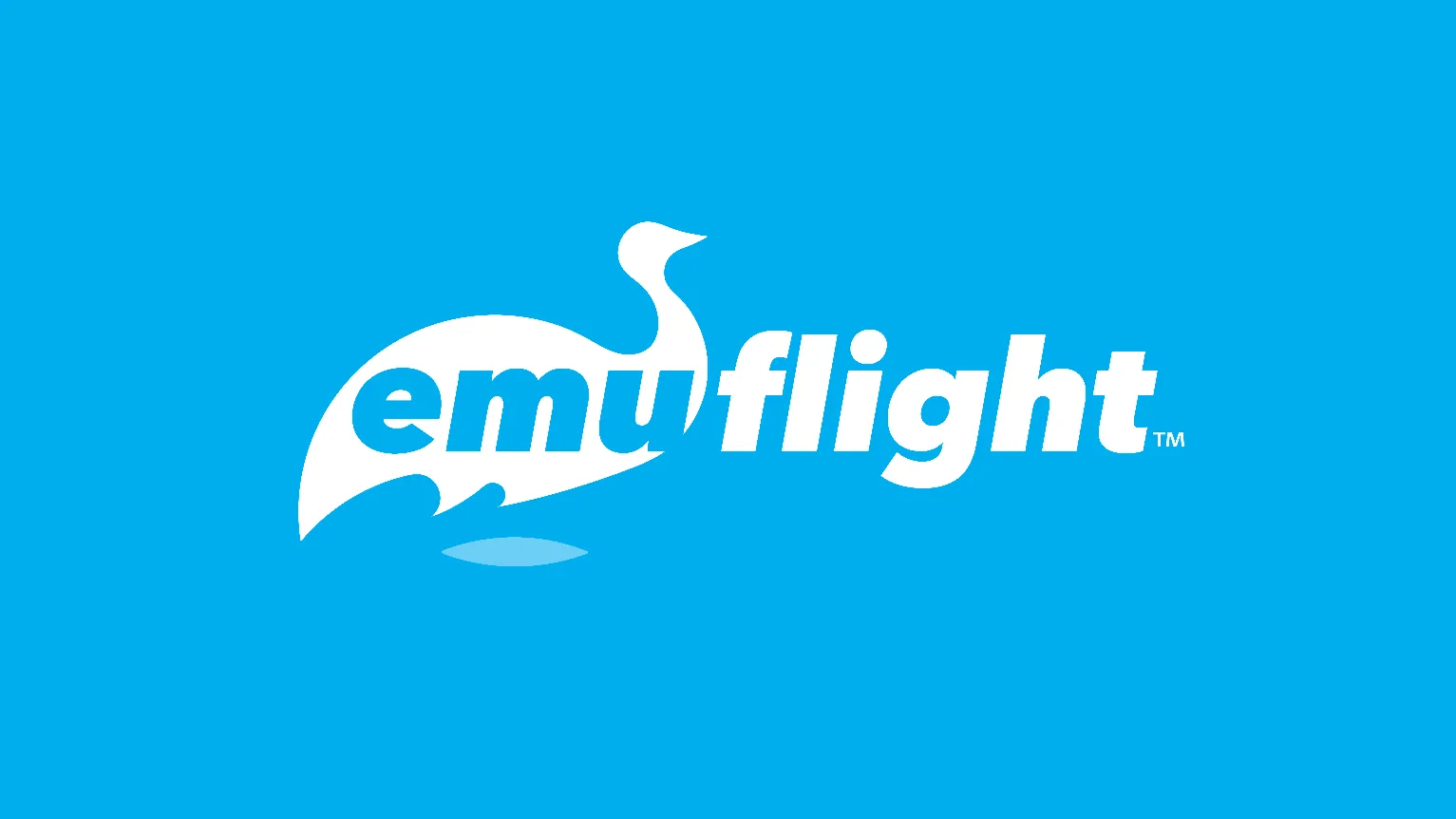 emuflight