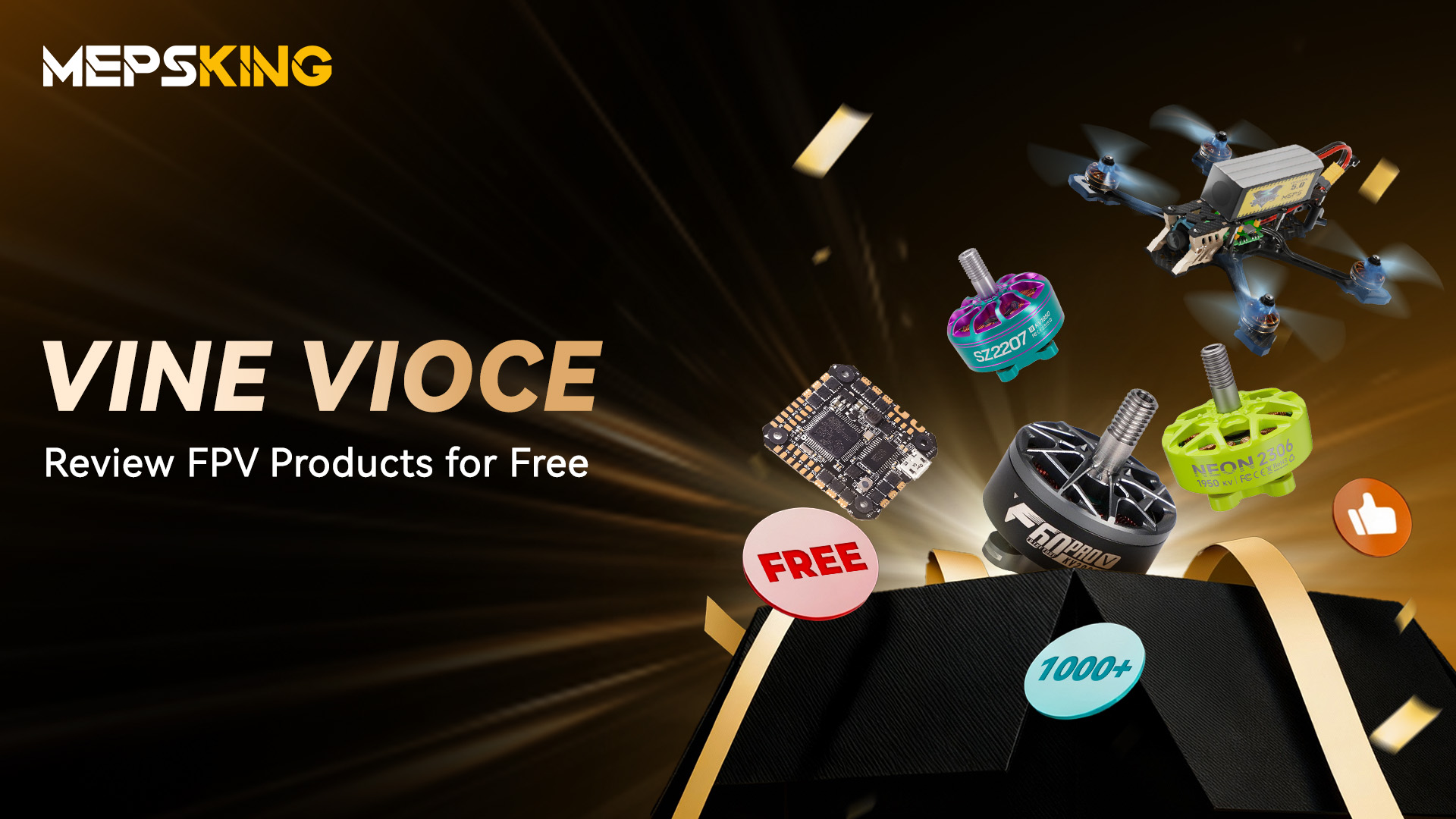 Join the MEPSKING Vine Voice:  Review FPV Products for Free