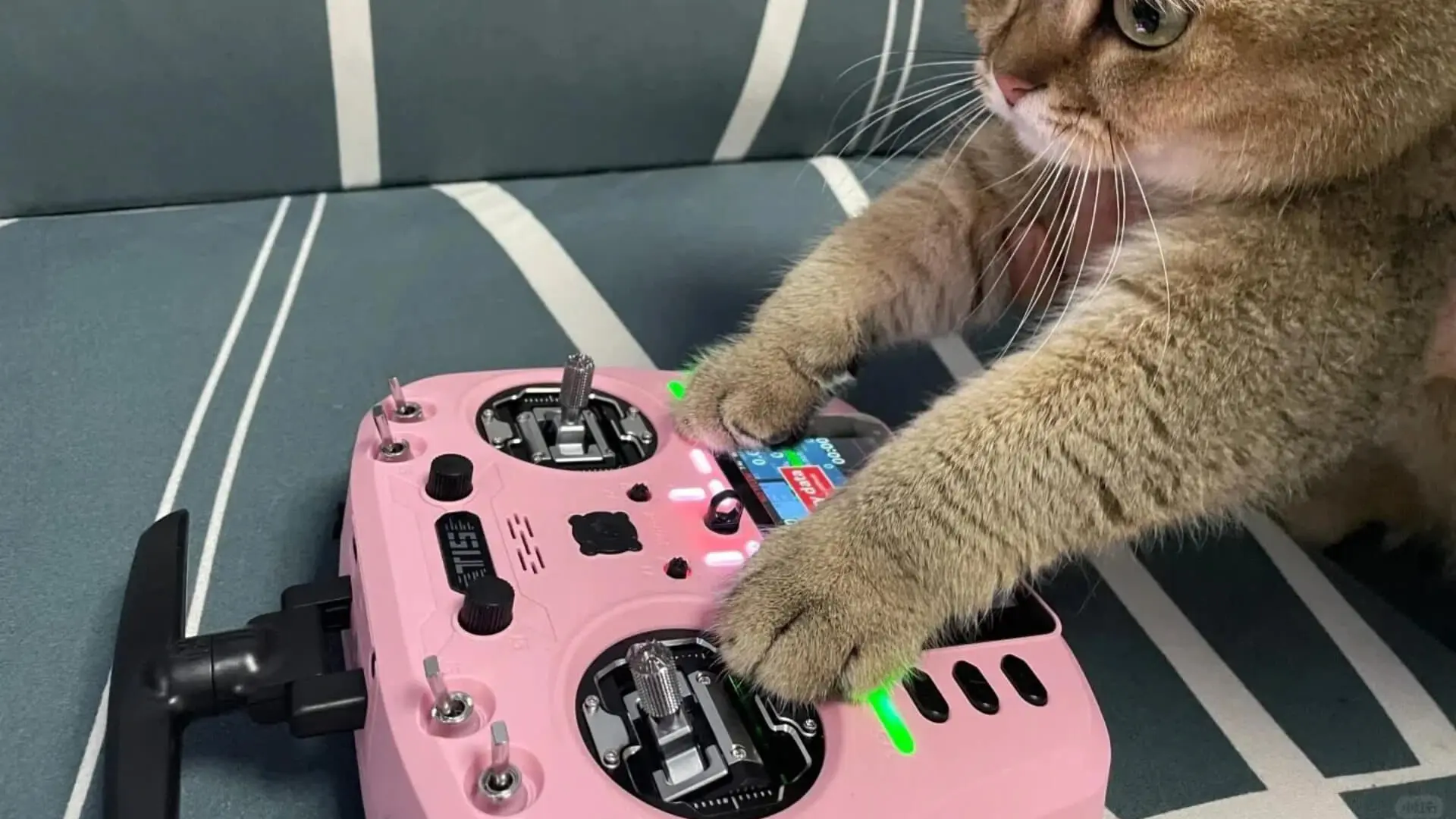 TX Protocol Compatibility Guide