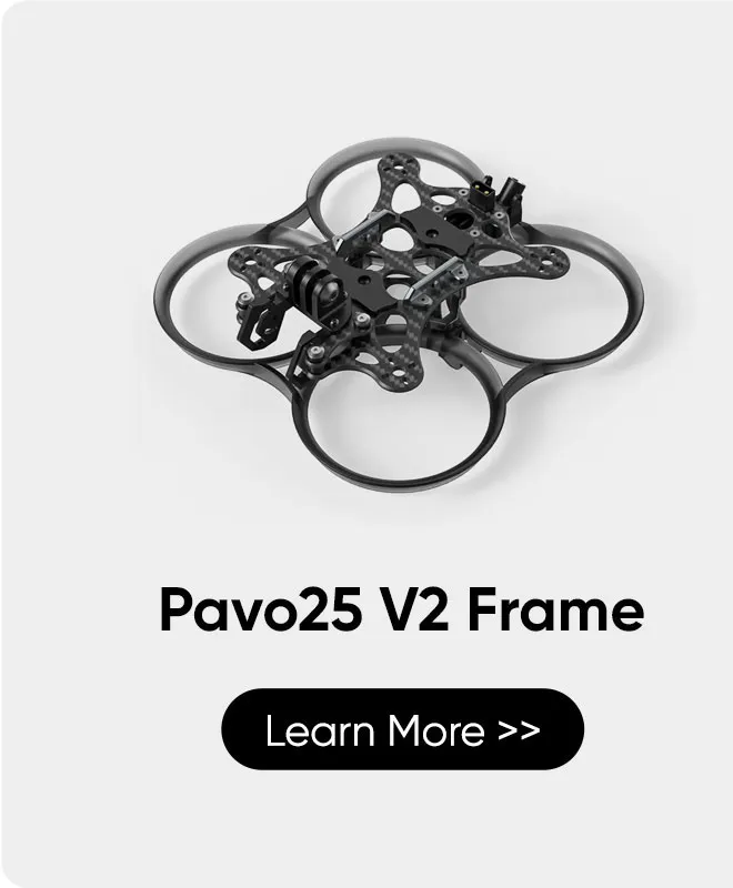 PAVO25 V2 FRAME	

