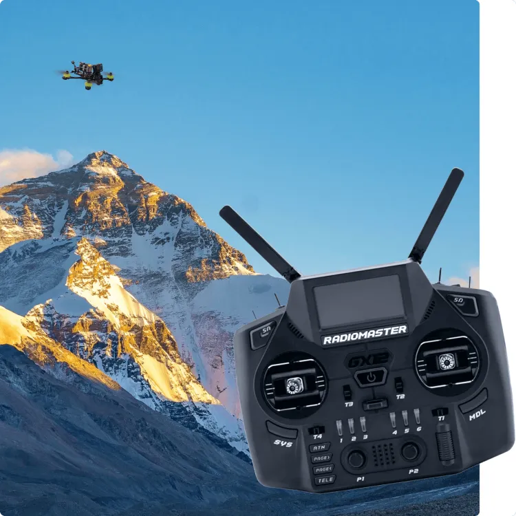 brand radiomaster gx12 dual controller