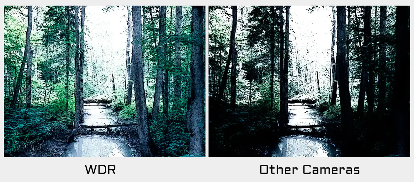 caddxfpv ratel pro analog camera effect comparison day