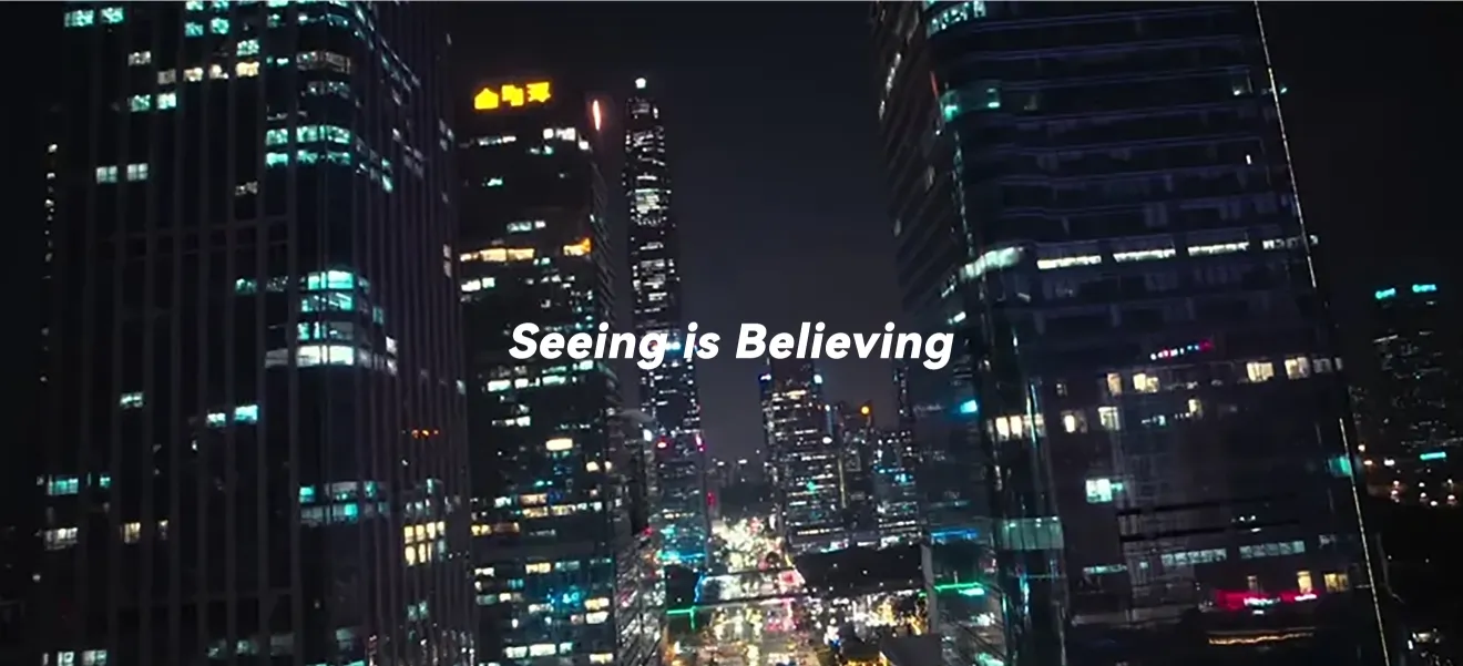 dji goggles 3 view