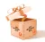 live mystery box