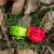 MEPS NEON 2812 motor 900kv pink