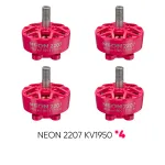 NEON 2207 1950 pink bundle