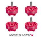 NEON 2207 2050 pink bundle