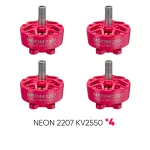 NEON 2207 2550 pink bundle